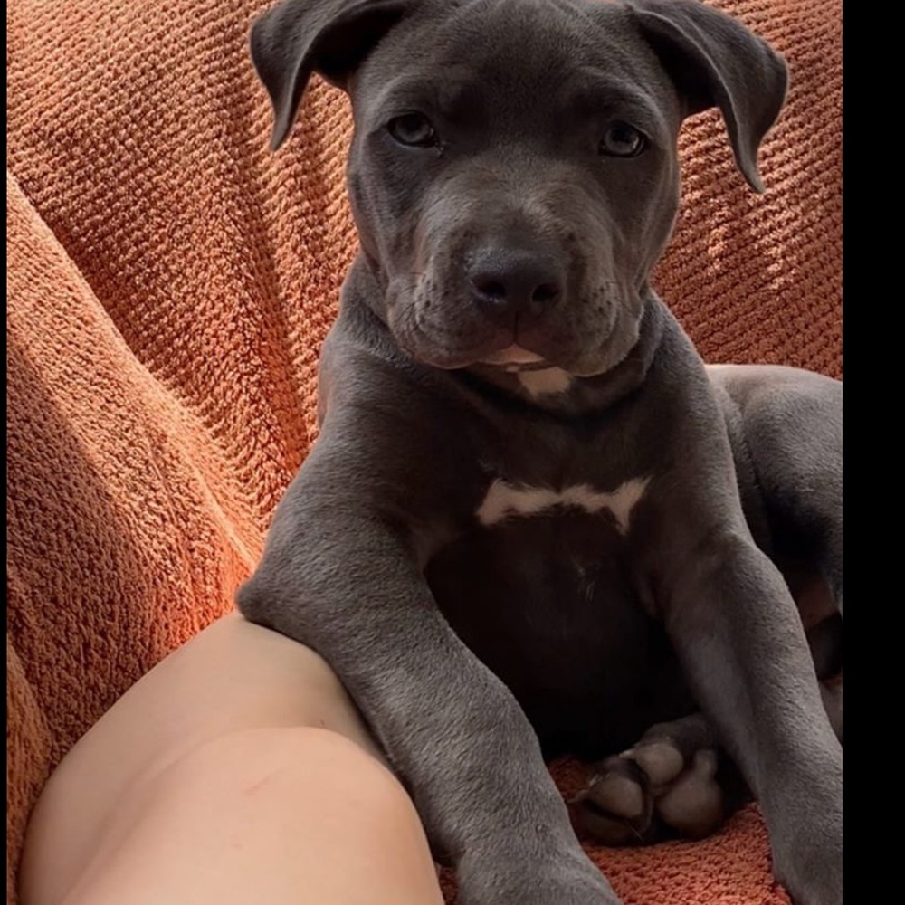 Meet your Posher, Mia